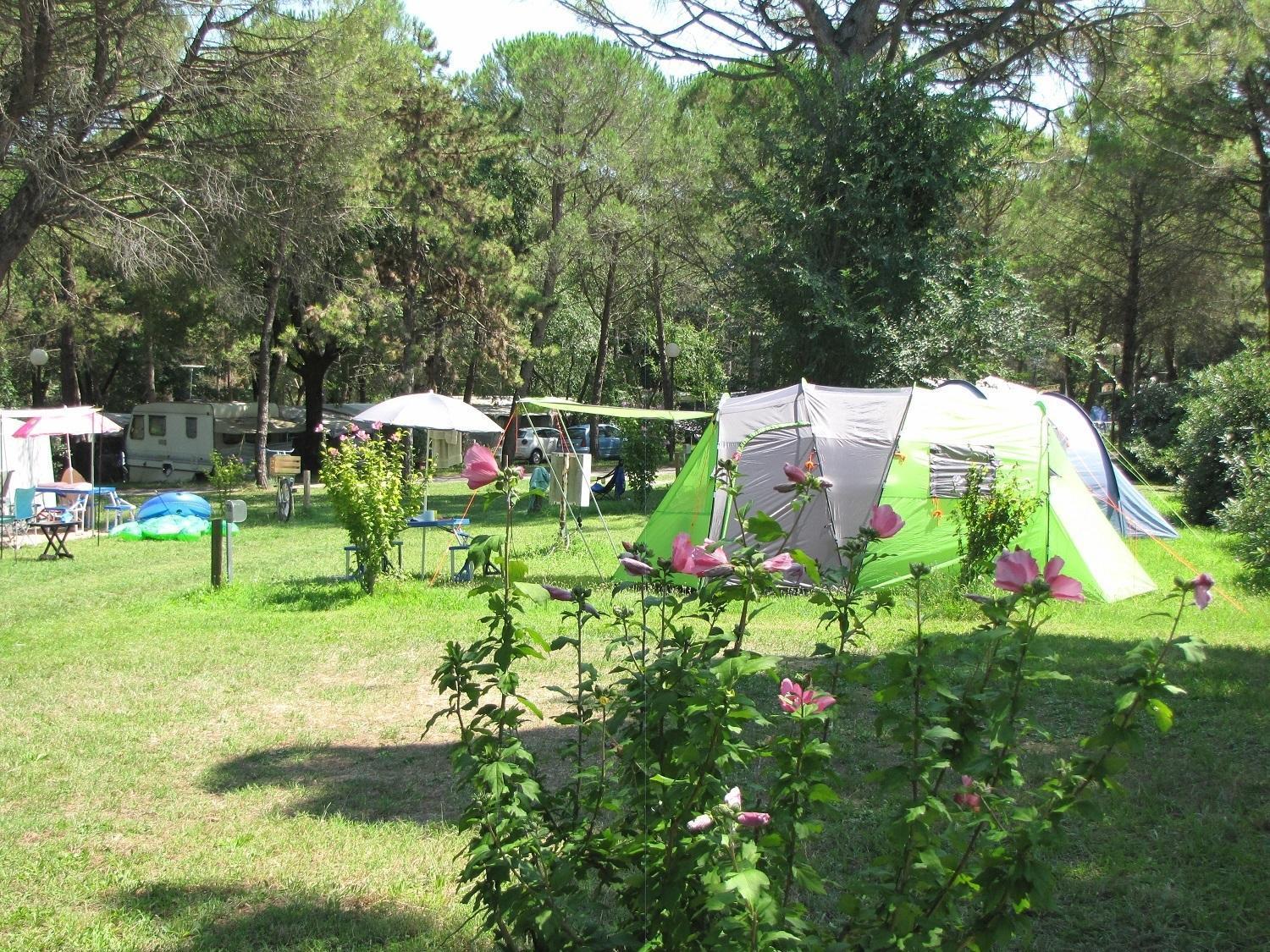 Belvedere Pineta Camping Village Grado Eksteriør billede